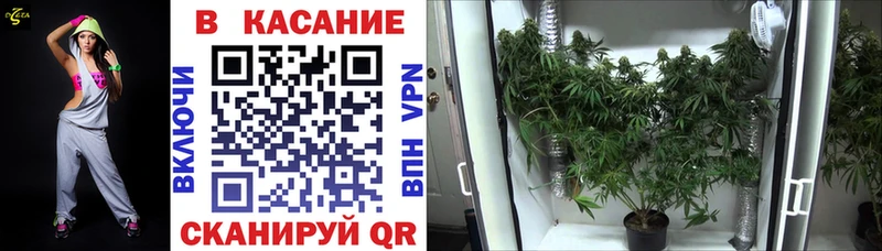 МЕФ Москва