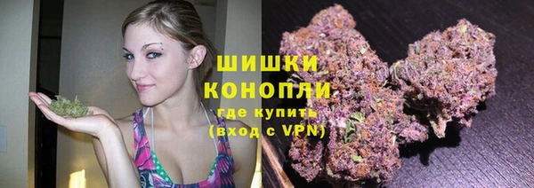 ALPHA PVP Горнозаводск