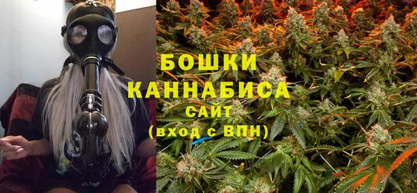 ALPHA PVP Горнозаводск