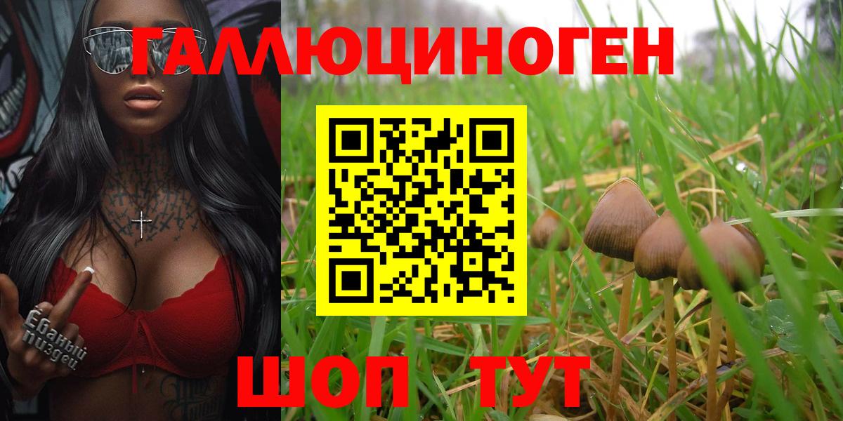 Псилоцибиновые грибы Psilocybine cubensis Москва
